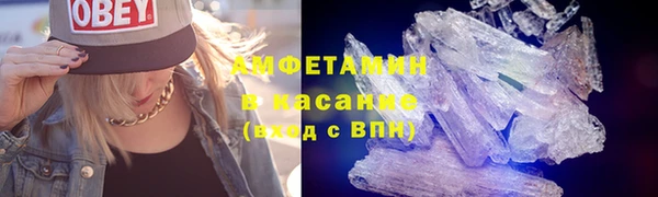 индика Верхний Тагил