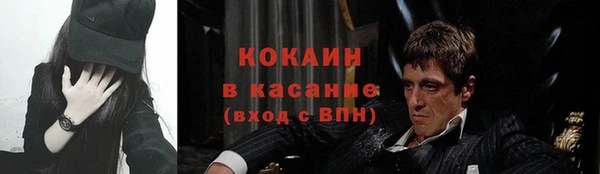 сатива Майский