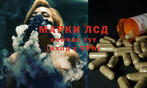 сатива Майский
