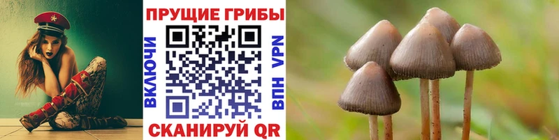 купить наркоту  Нижние Серги  ОМГ ОМГ рабочий сайт  Галлюциногенные грибы мухоморы 